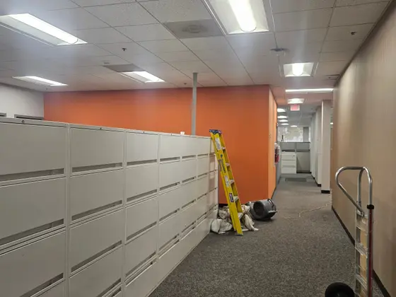 Commercial Interior Painting, Southwest Florida Office — 3 photos