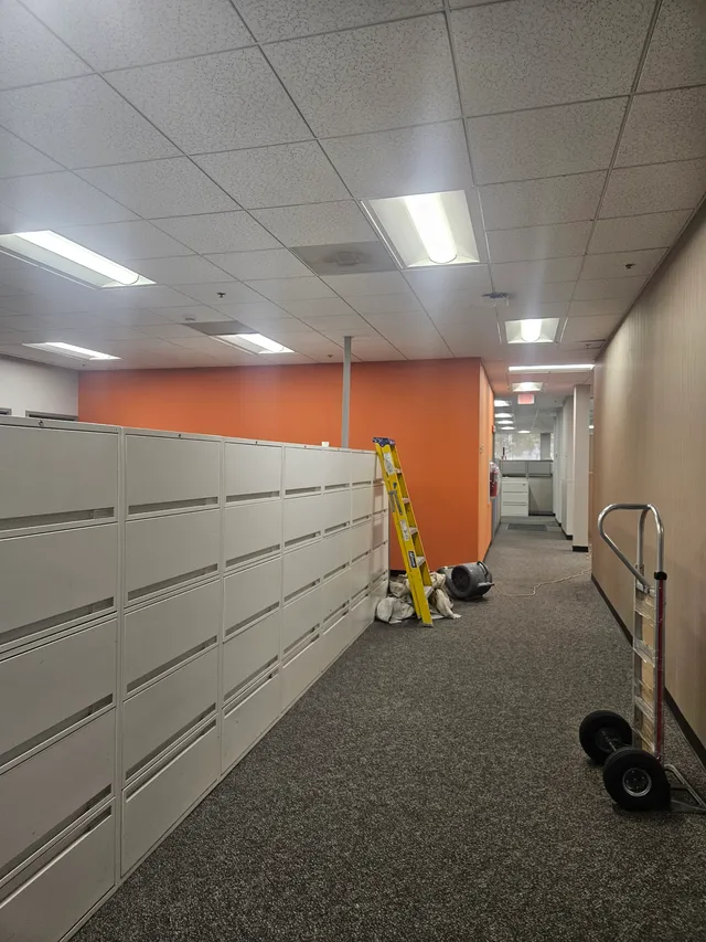 Venetian Plastering project in Venice, FL by Kranenburg Painting
